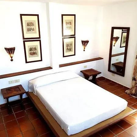 Lavanda 科拉雷侯